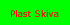 Plast Skiva